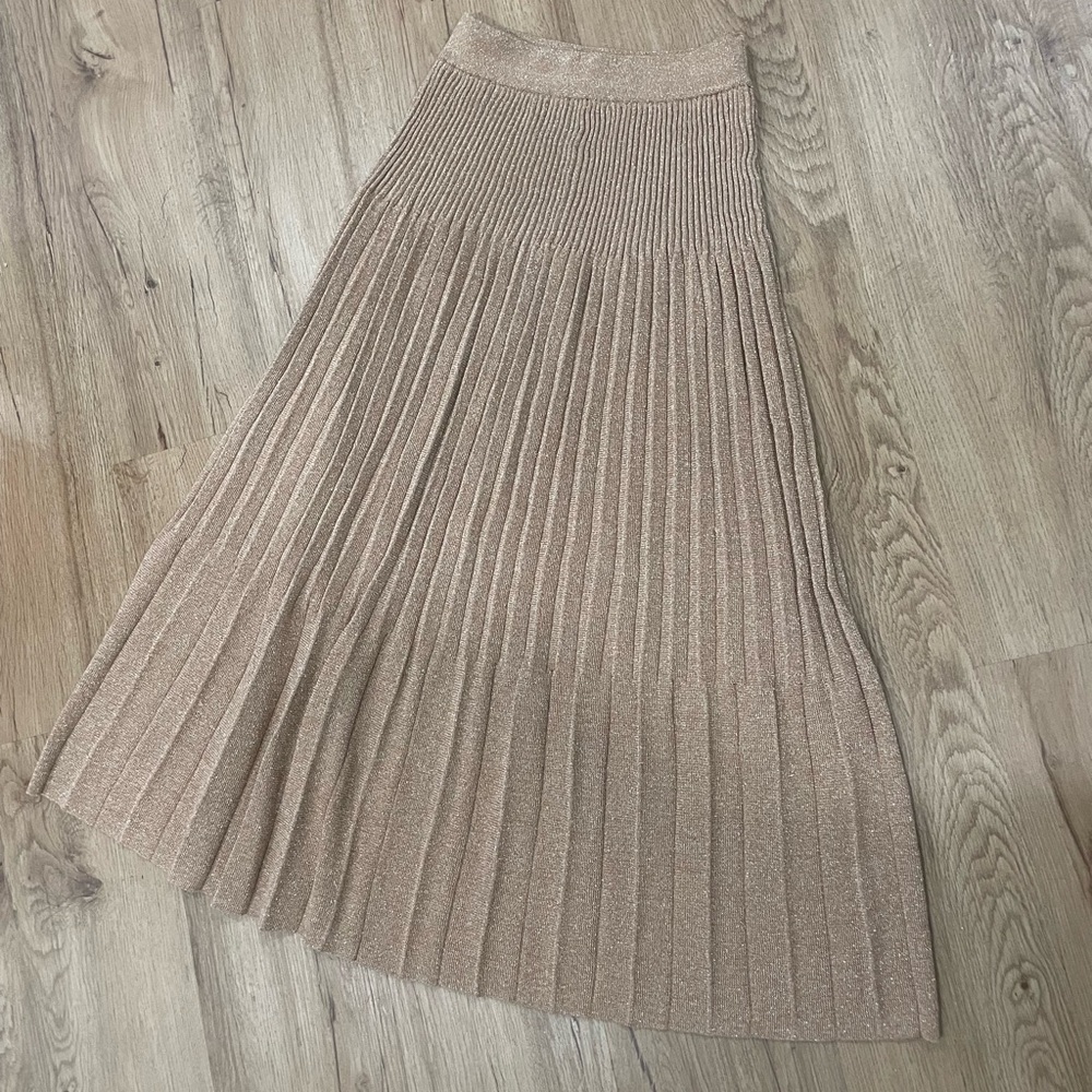 Express Tan Maxi A-Line Skirt